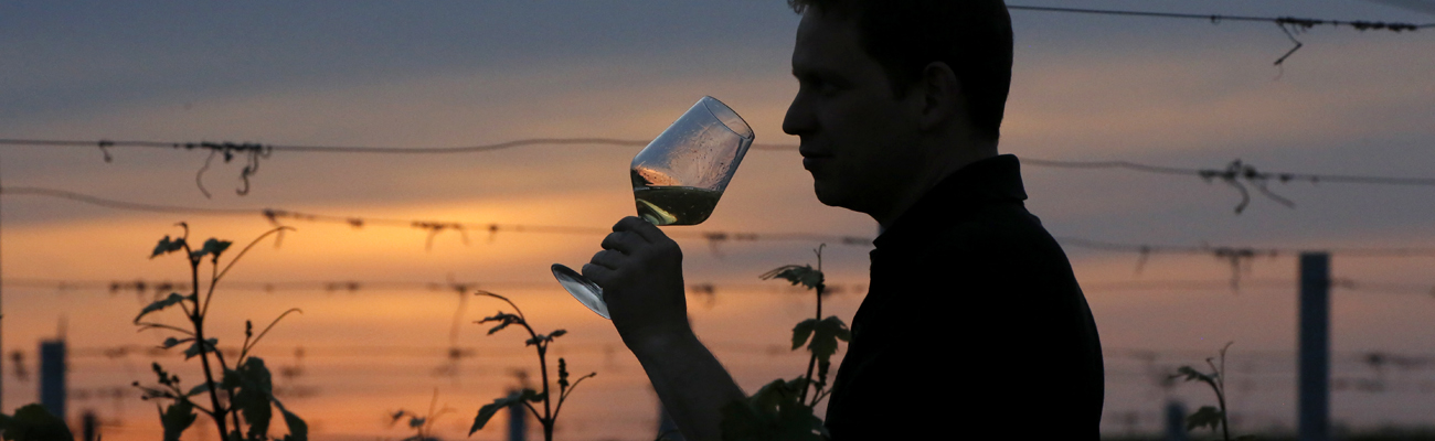 Person trinkt Wein beim Sonnenuntergang